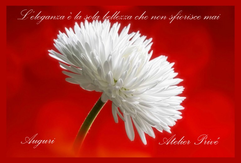 L’eleganza è la sola bellezza che non sfiorisce mai